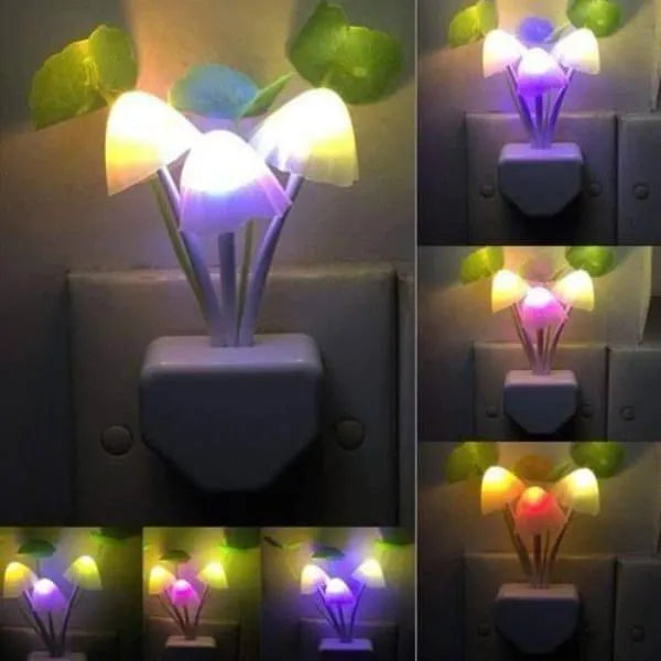 Multicolor Mushroom Night Light USB Type-C Charging